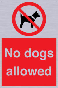 No dogs allowed
